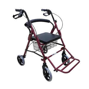 2 In 1 Lightweight Rollator